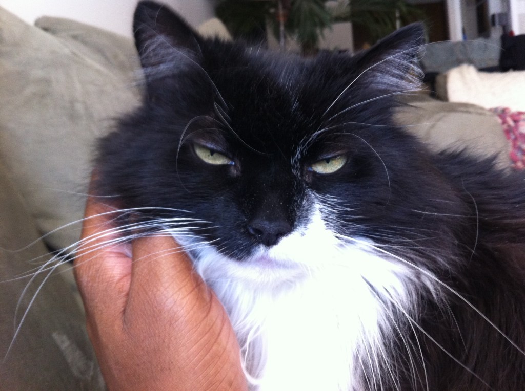 The True Boss Of The&nbsp;Household