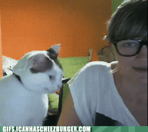 It must be a cat thing for attention.